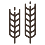 icon finder 1 2 150x150.png