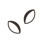 iconfinder seed 7609583 150x150.png