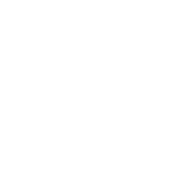 Logo Regular