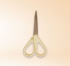 Stainless Steel Office Scissors
