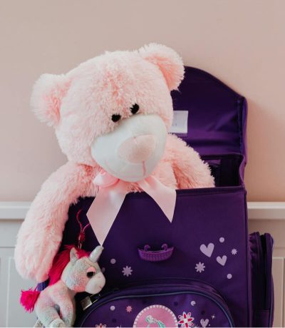 Pink Teddy Bear
