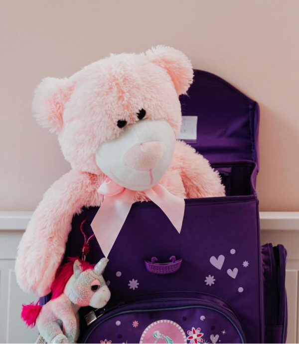 Pink Teddy Bear