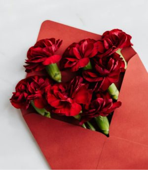 Red Rose