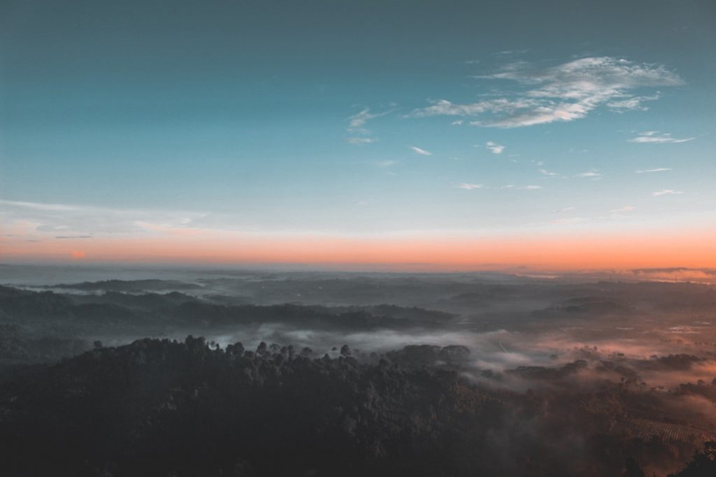 bird s eye view photography of green forest 1208379