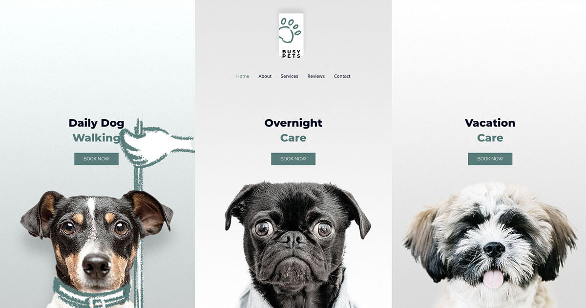 Pet Care – Website template to connect with pet lovers