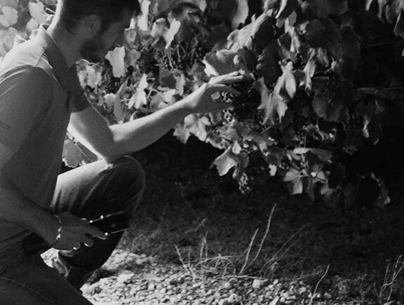 Wine Maker Photo