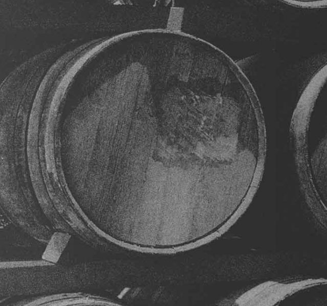 wine barrels