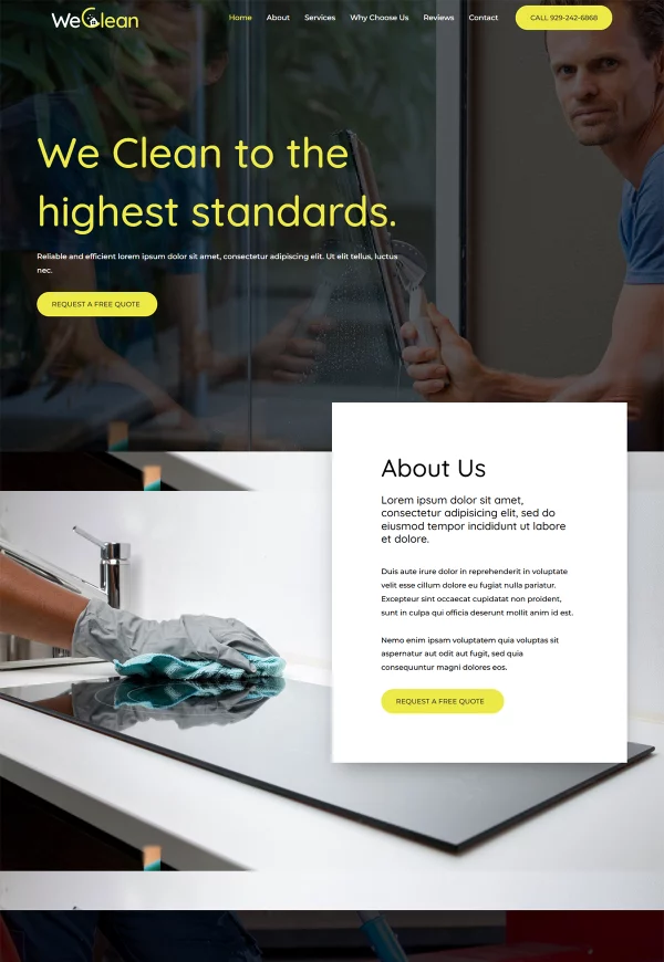 Cleaning Agency