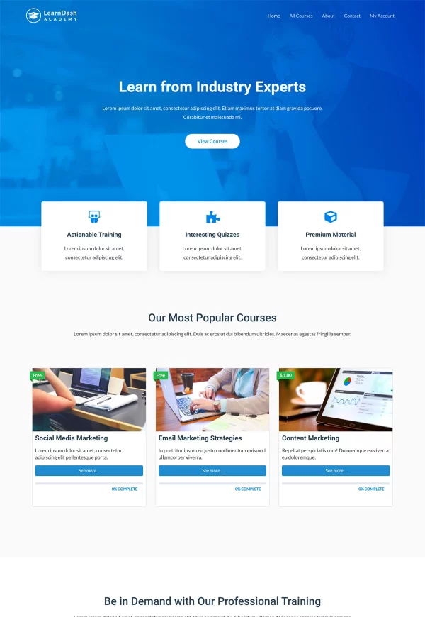 Learndash Academy