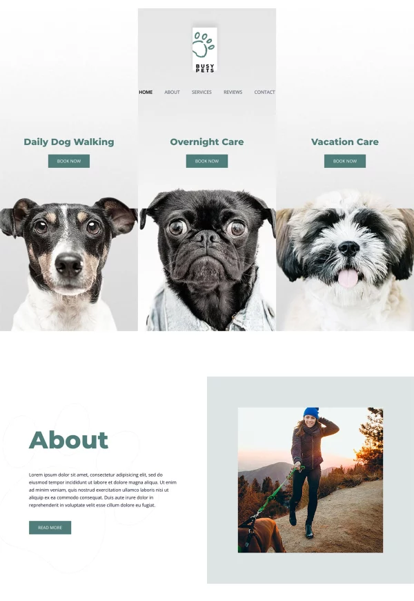 Pet Care