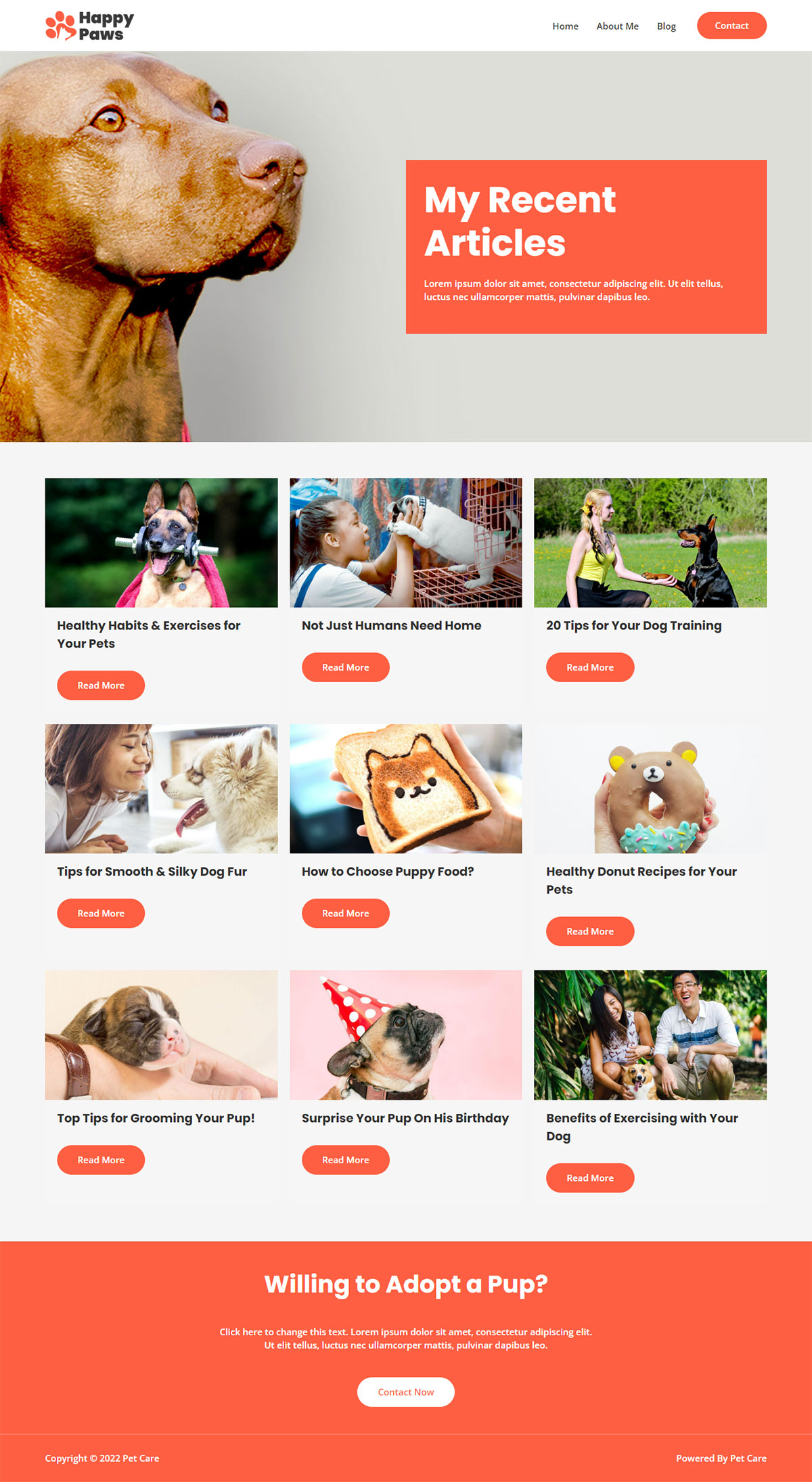 Blog - Website Demos