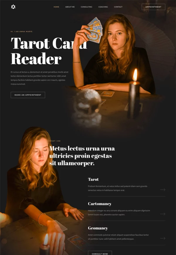 Tarot Card Reader