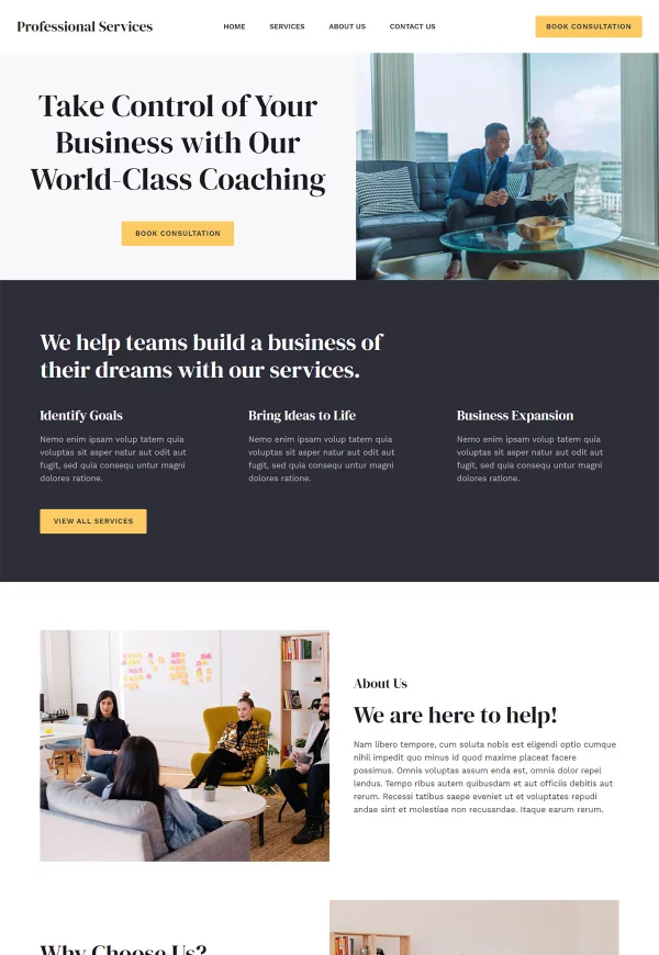 Professional Services