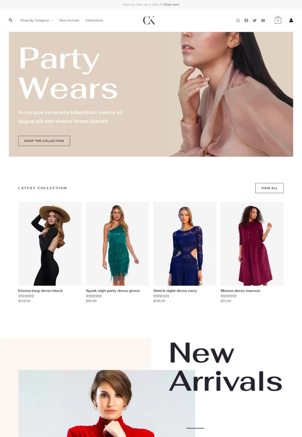 Fashion Designer