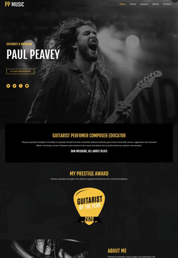 Guitarist