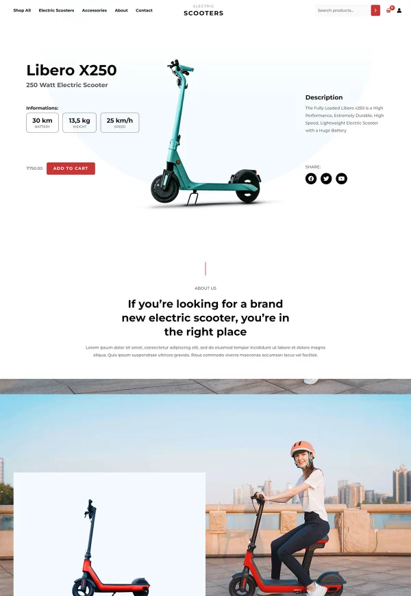 Electric Scooter