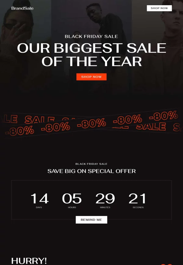 Black Friday Sale