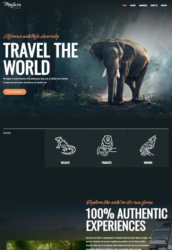 Wildlife Safari