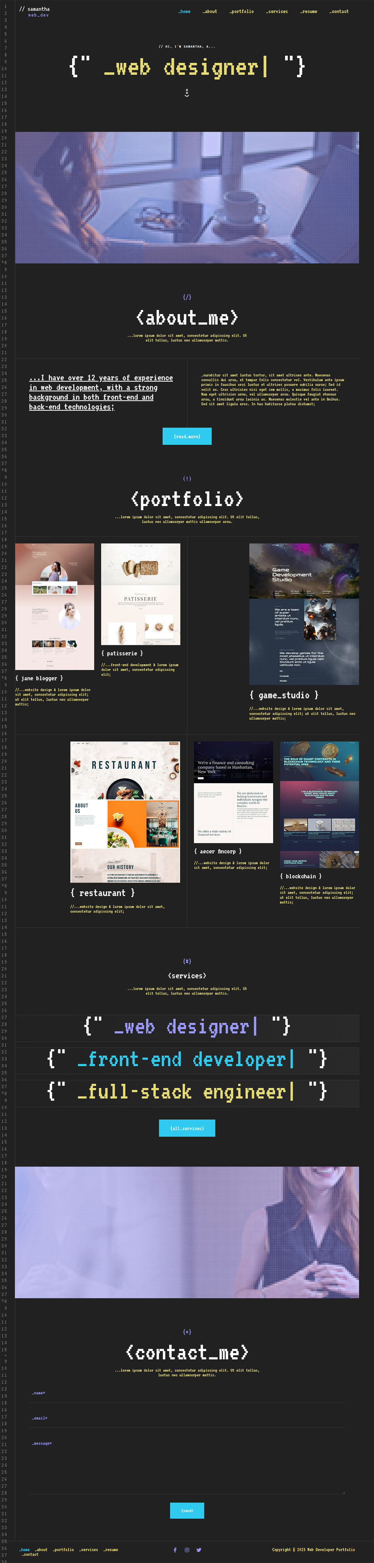 Web Developer Portfolio Astra