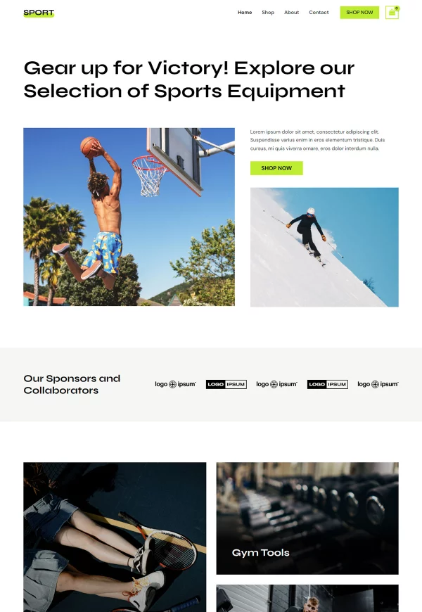 Sports Equipment Store