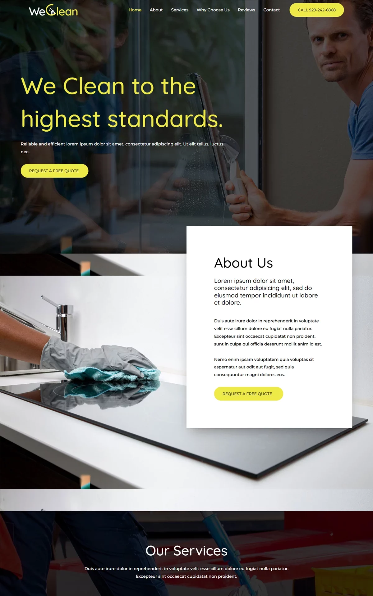 Cleaning Agency