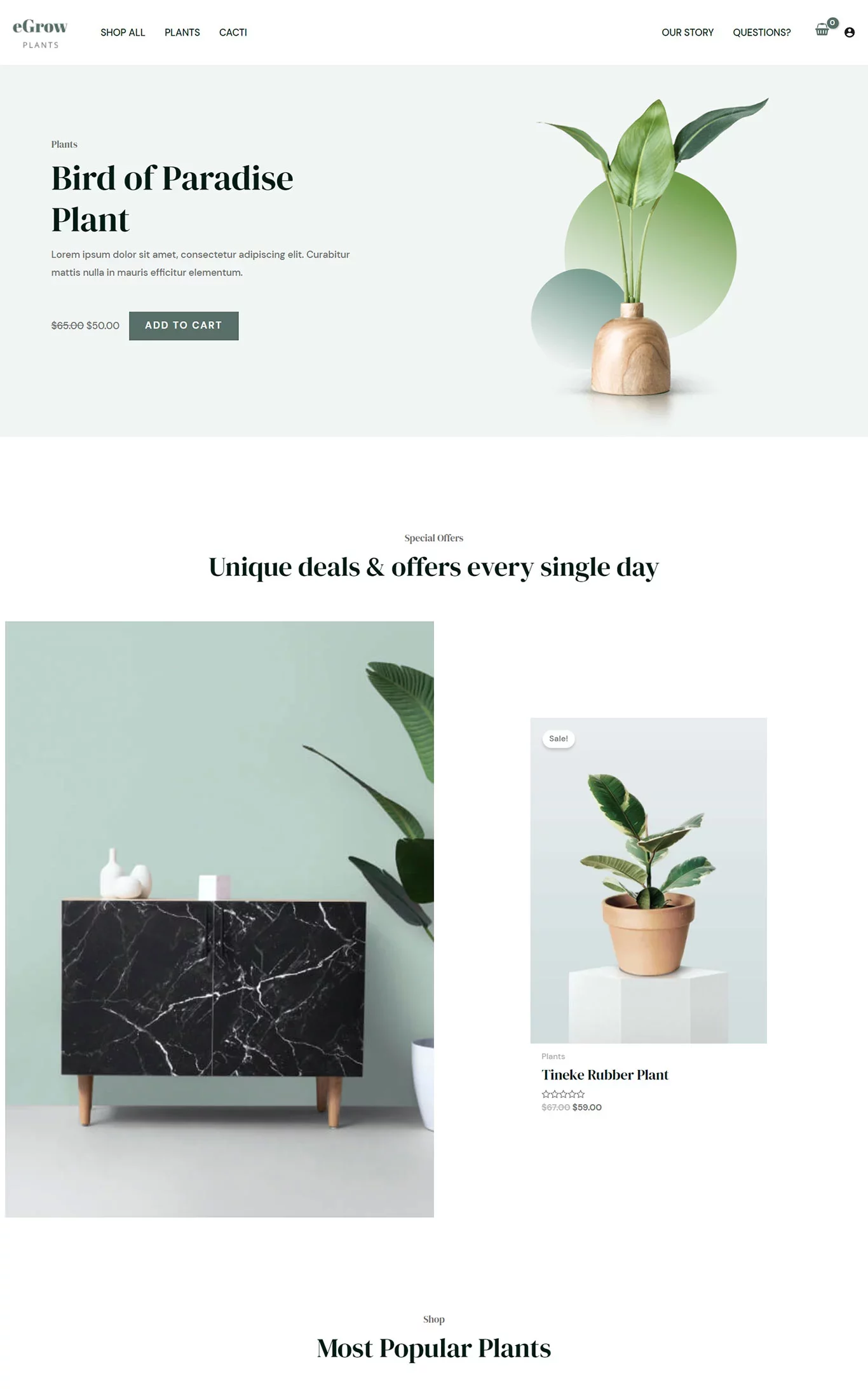 eGrow Plants