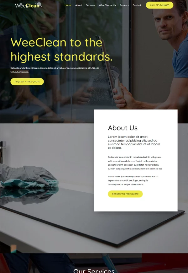 Cleaning Agency