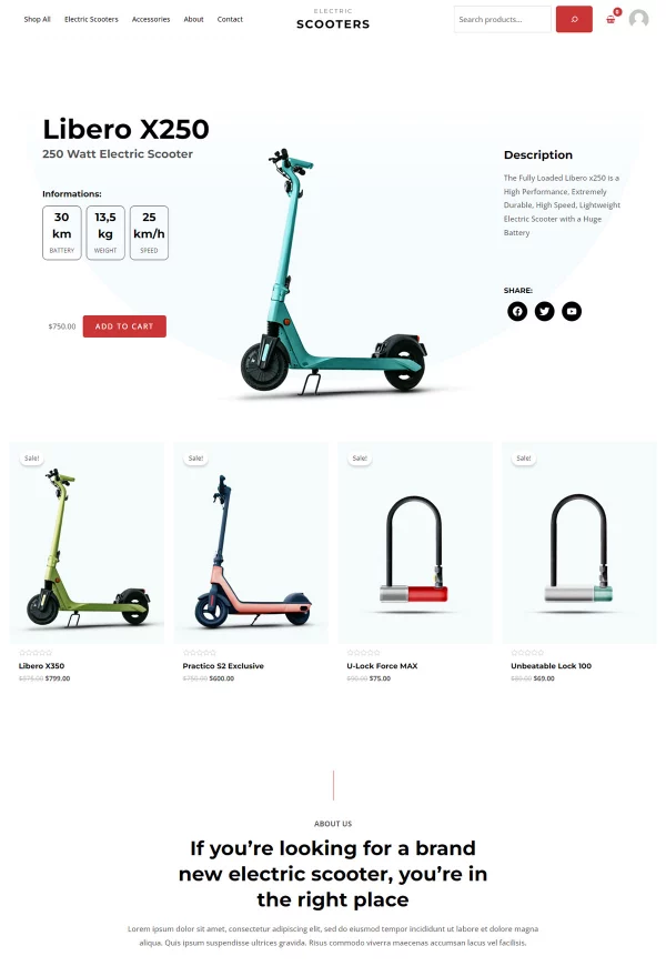 Electric Scooter