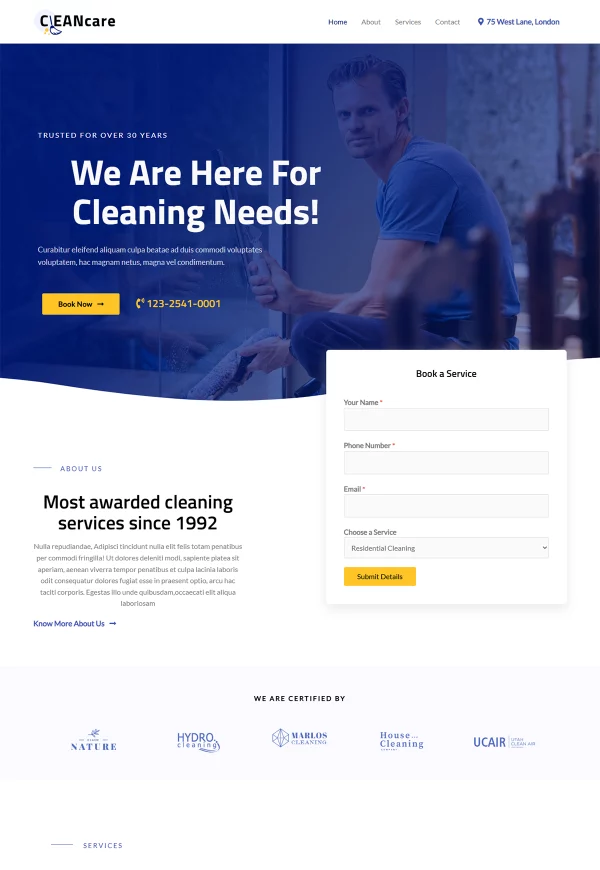 Cleaning Service