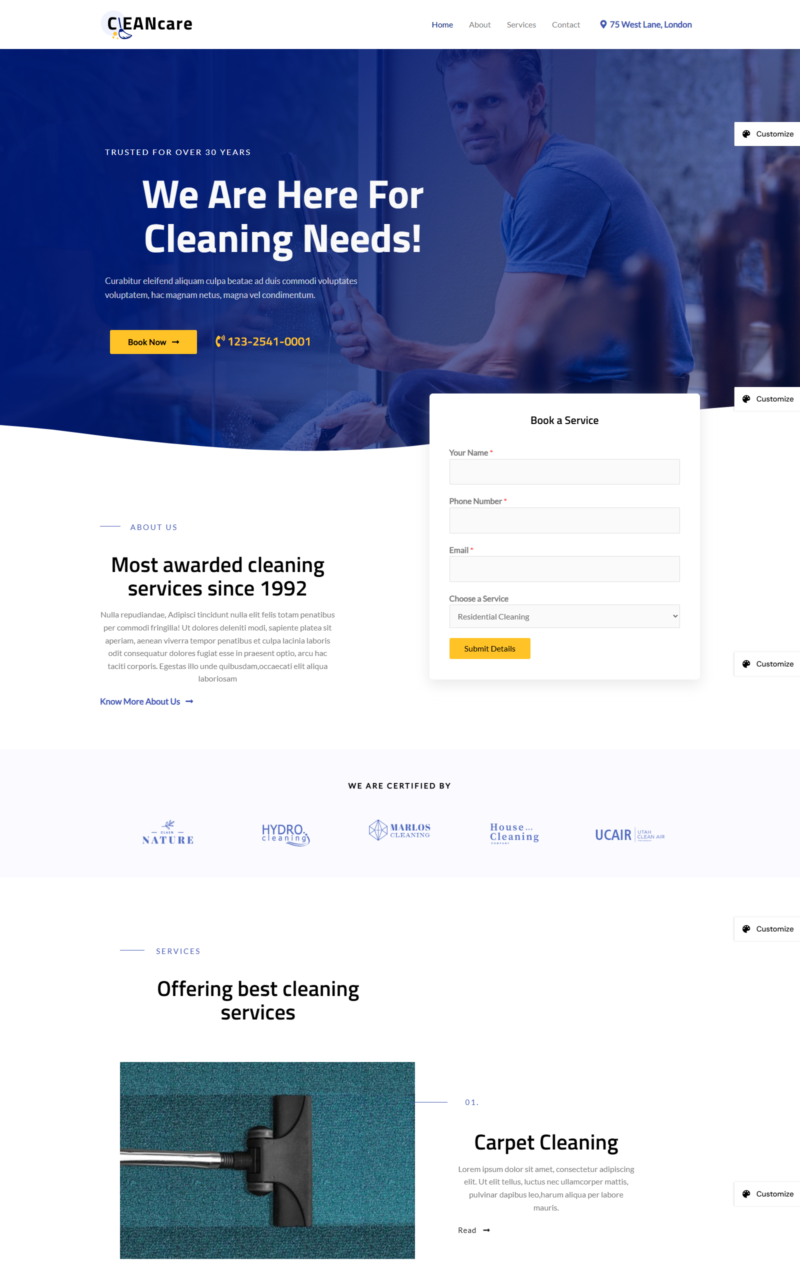 Cleaning Service
